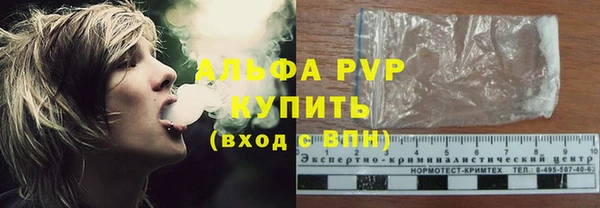 сатива Армянск