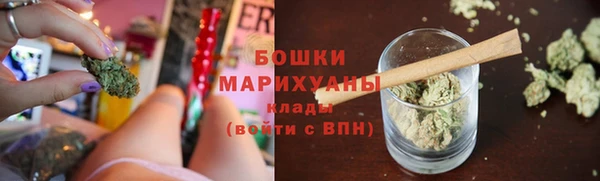 сатива Армянск