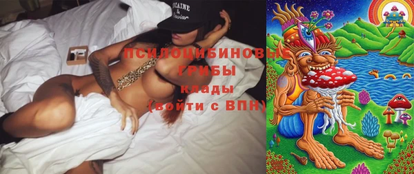 винт Арсеньев