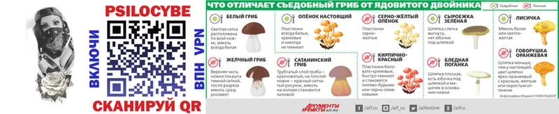 Псилоцибиновые грибы Psilocybe  Купить закладки  Новоульяновск 
